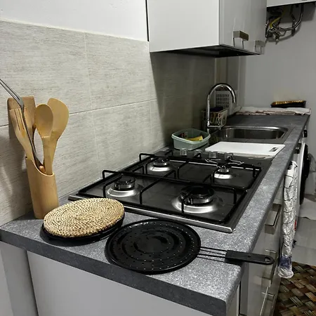 Apartment Comfort House *